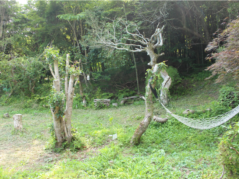 森のハンモック