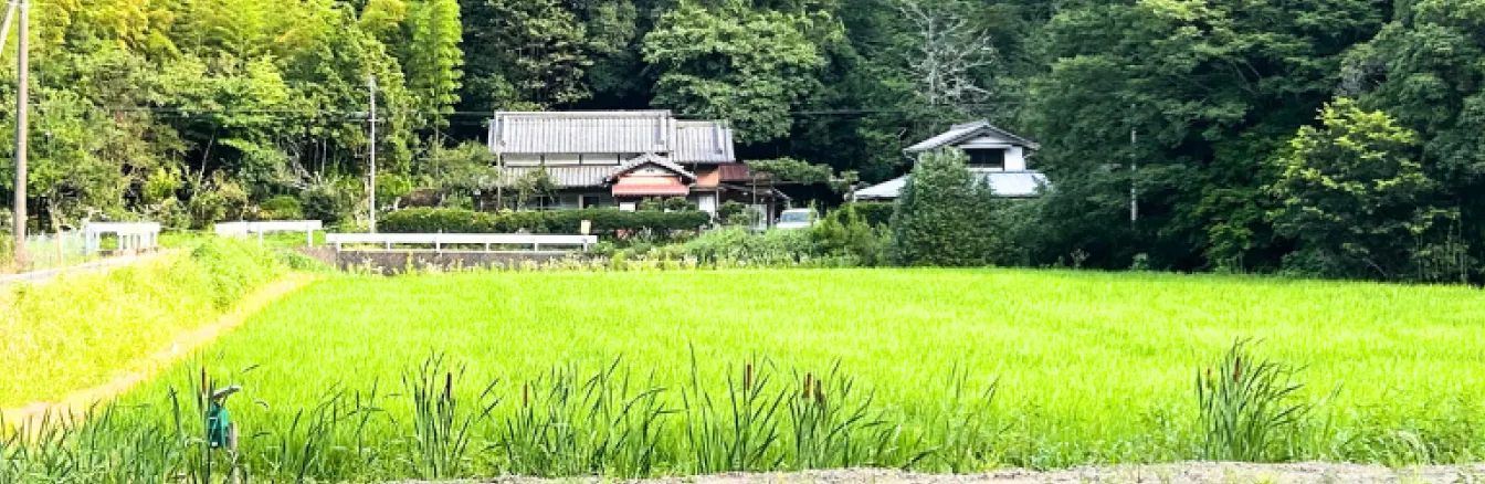 各種ご予約はこちら